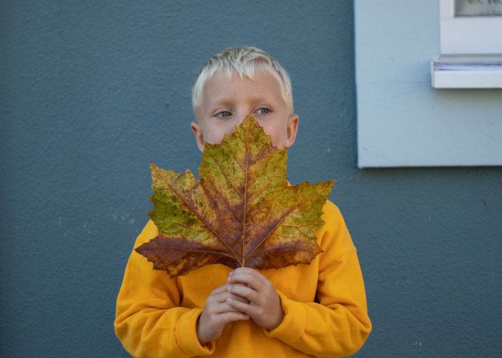 Photograph by Ксения Лаевская