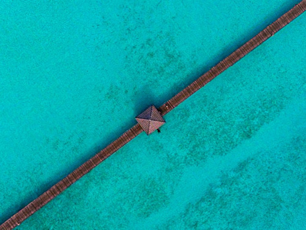 Photograph by Денис Гончаренко