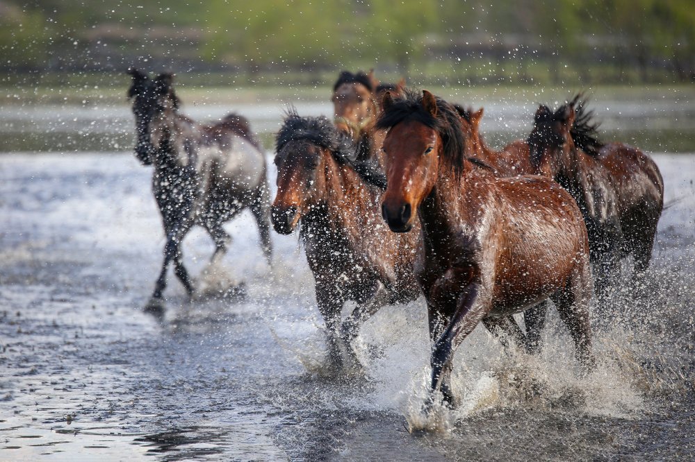 Sırılsıklam koşmak