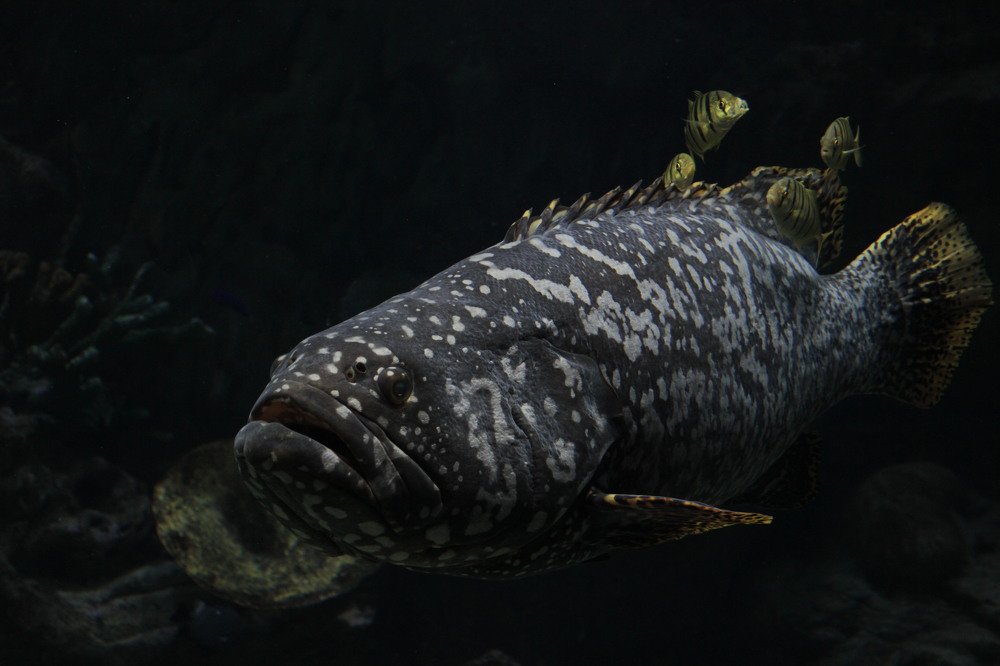 Photograph by Яшин Андрей