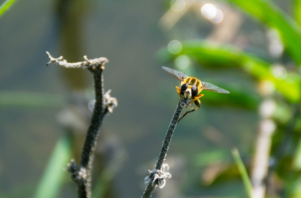 Photograph by Анастасия Киселева