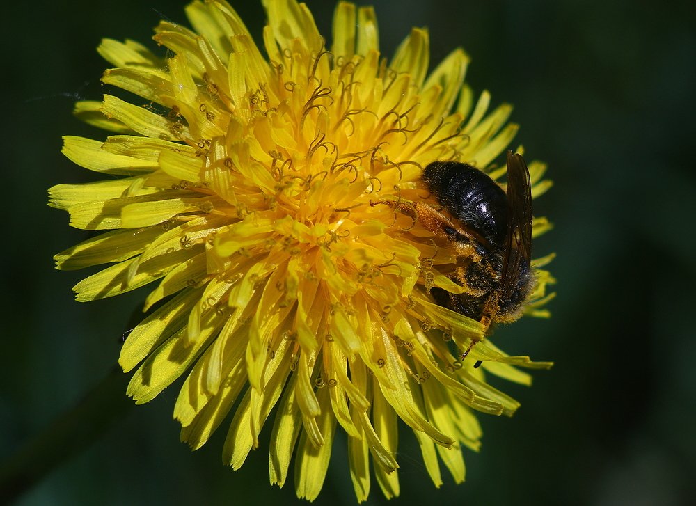 Фотография автора Геннадий Титов