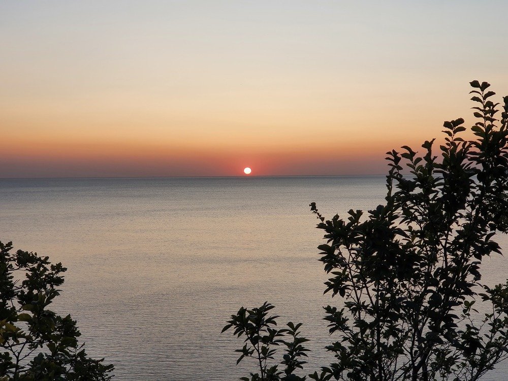 Фотография автора Юлия Таран