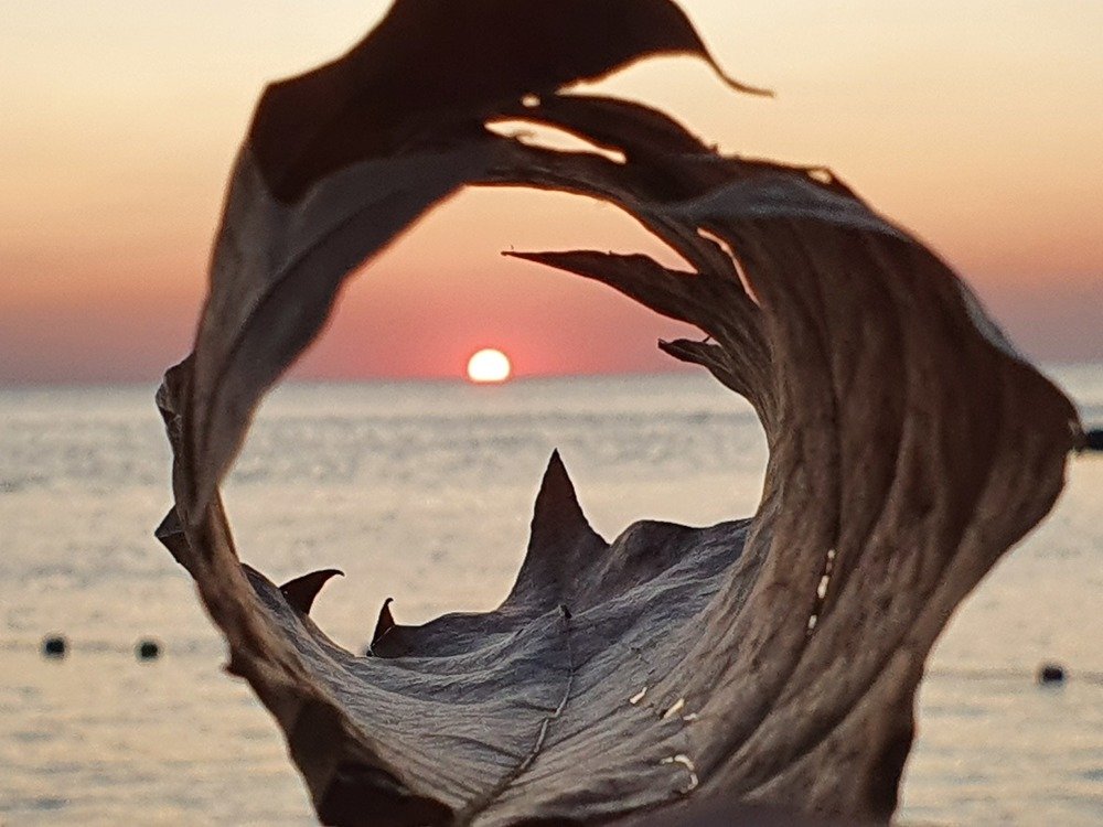 Фотография автора Юлия Таран