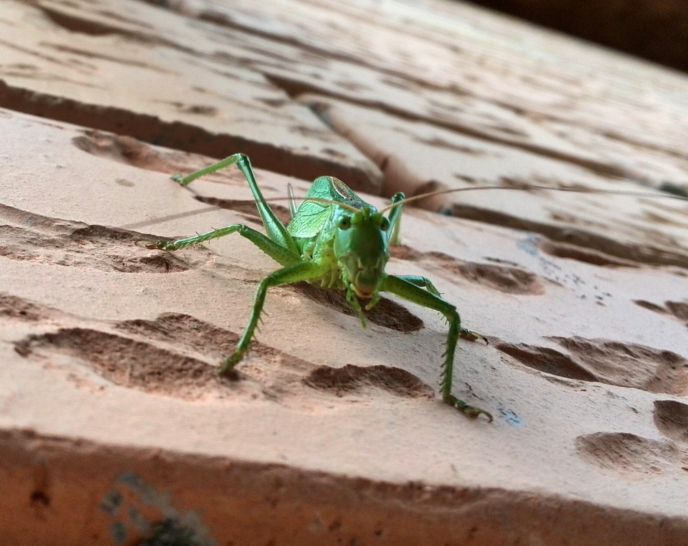 Photograph by Дмитрий Бурдин