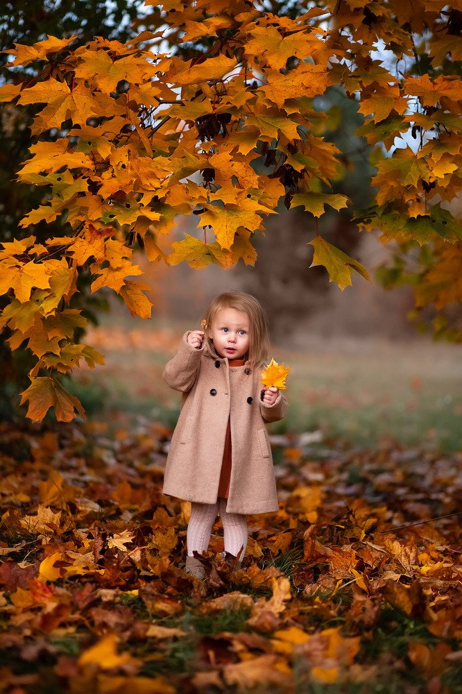 Photograph by анастасия колосова