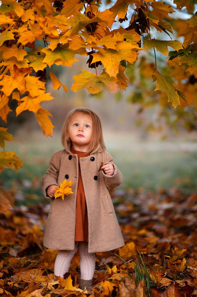 Photograph by анастасия колосова