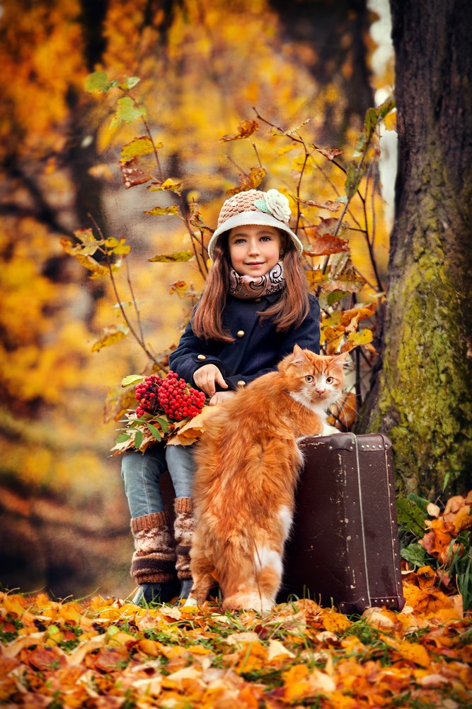 Путешественники