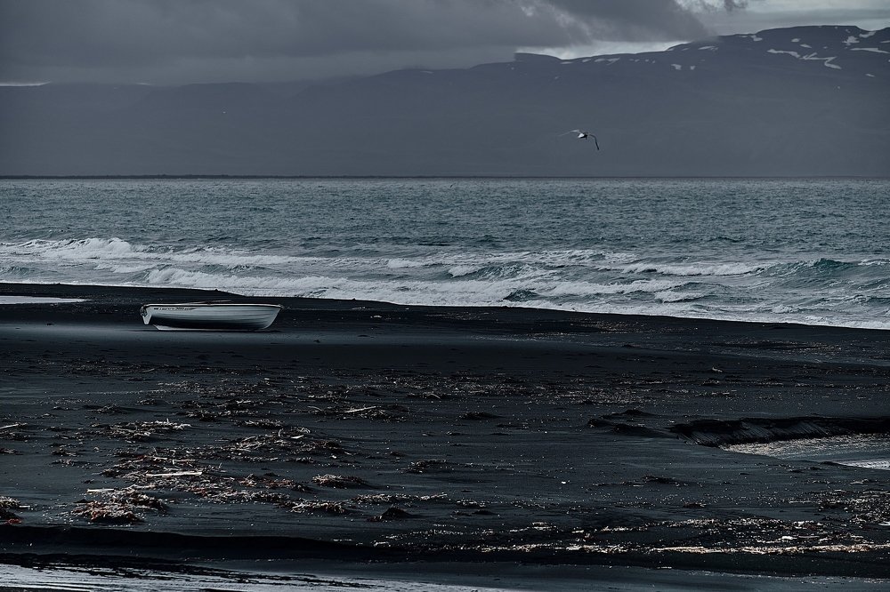 Photograph by Леонид Петруша