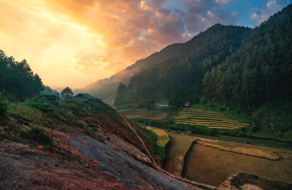 Mu Cang Chai in Autumn
