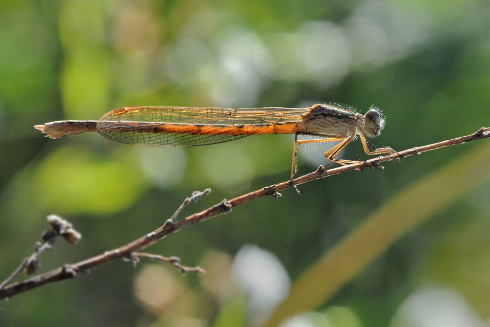 Photograph by Михаил