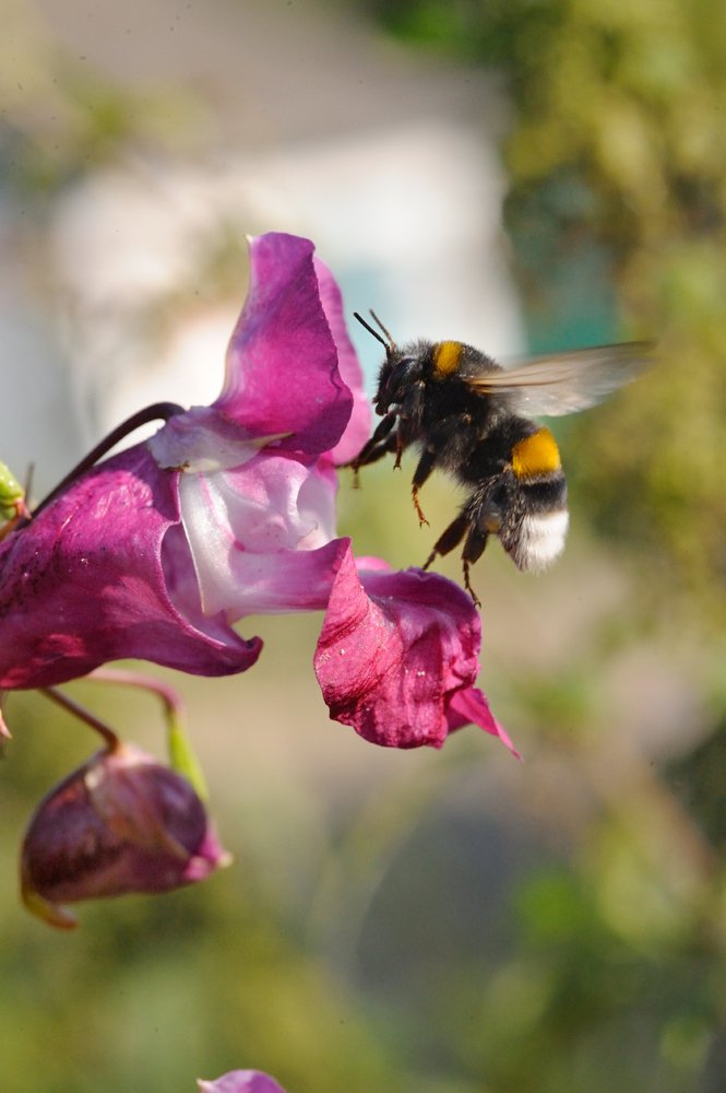 Photograph by Михаил