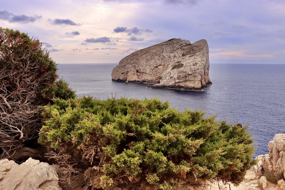 Photograph by Малика Маткарим