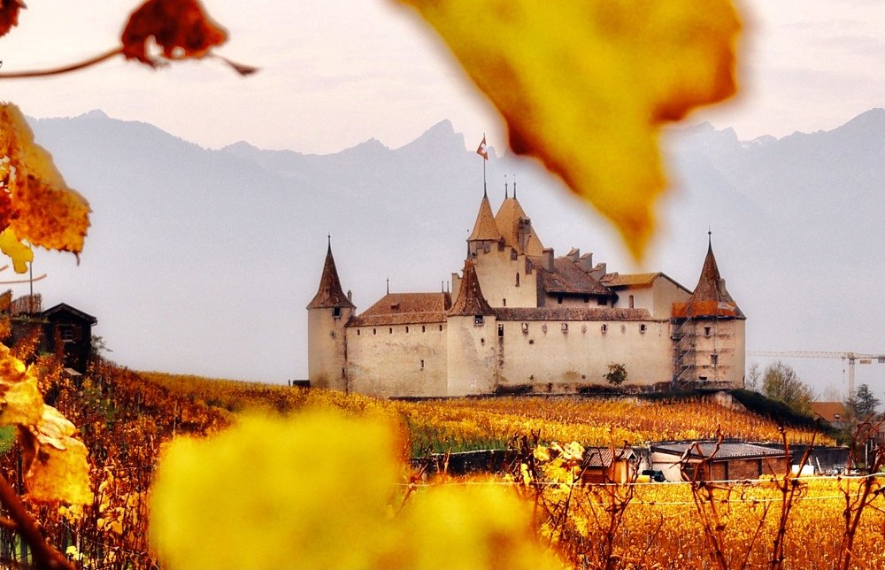 Photograph by Малика Маткарим