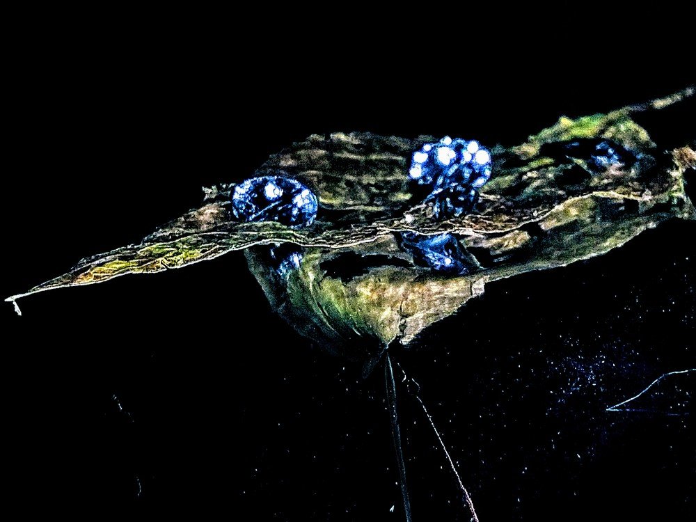 Photograph by Заира