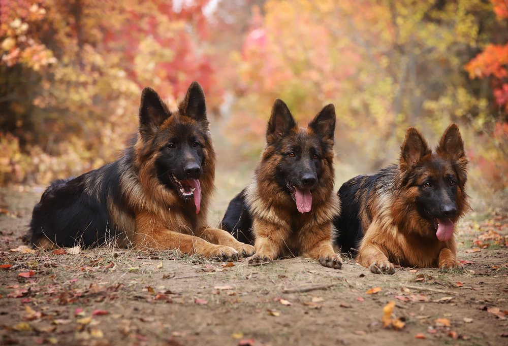 Photograph by Титаренко Ольга