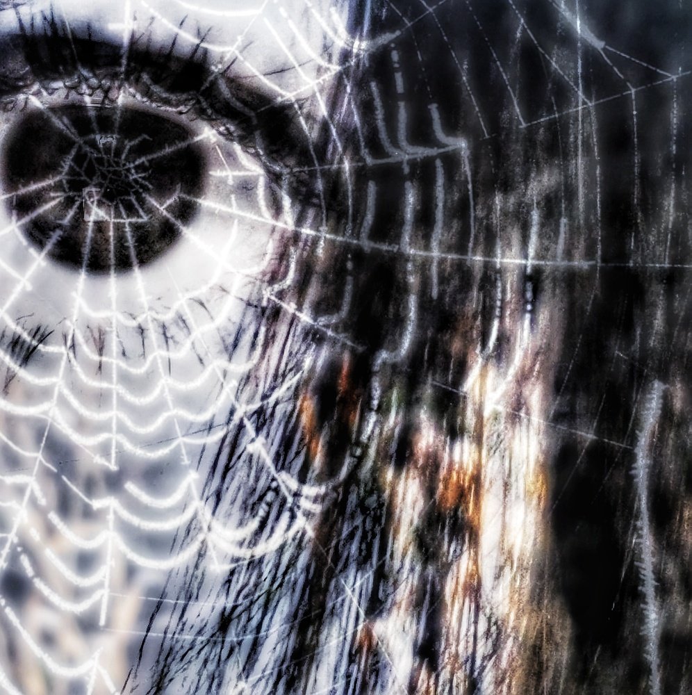 Photograph by Заира