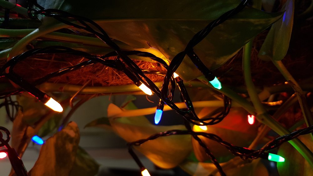 Photograph by Jishnu Sudarsan