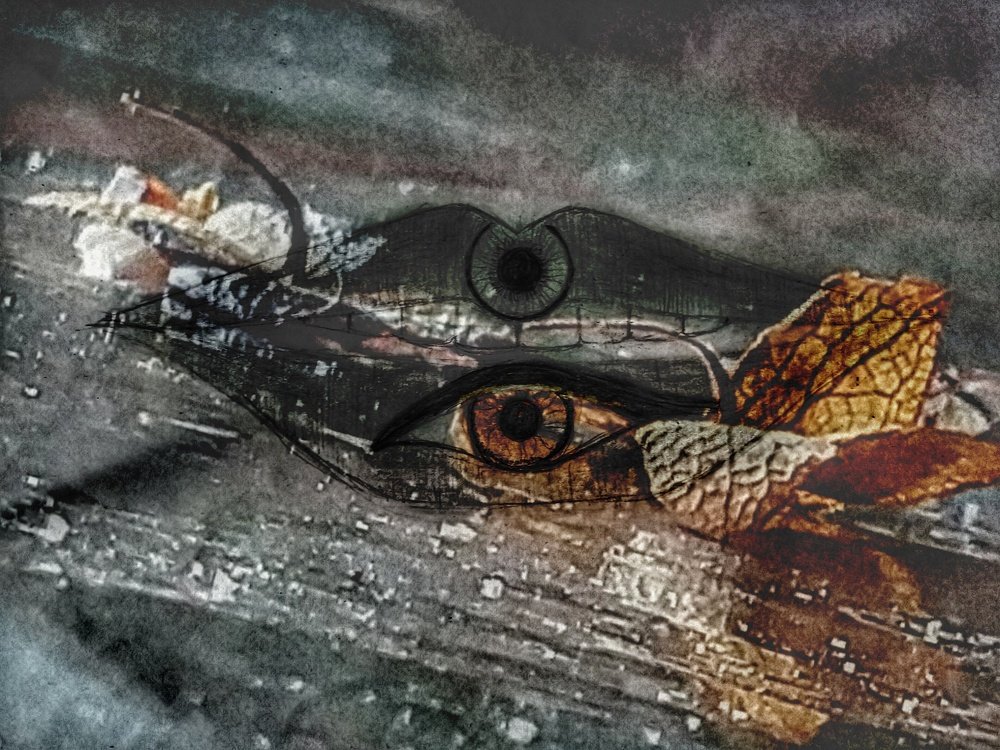 Photograph by Заира