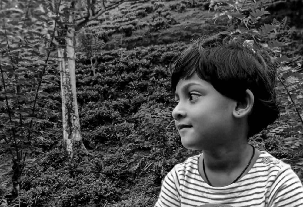 Photograph by chandima roshan