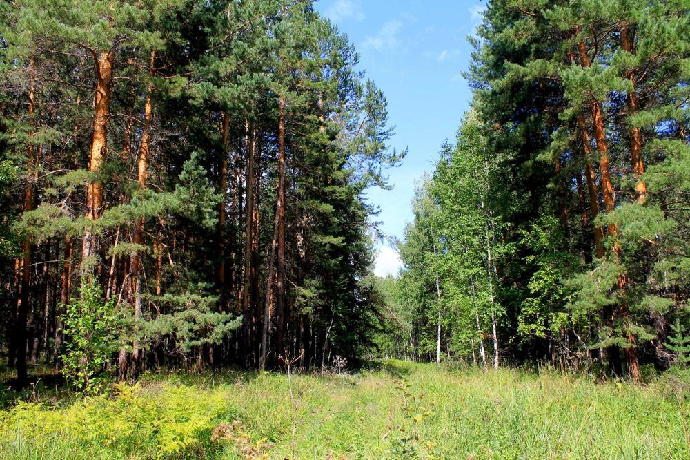 Photograph by Татьяна Перегудова