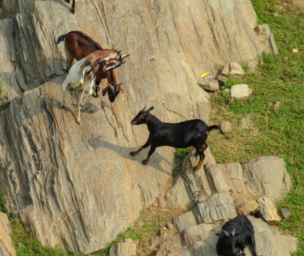 Photograph by Susmita Paul