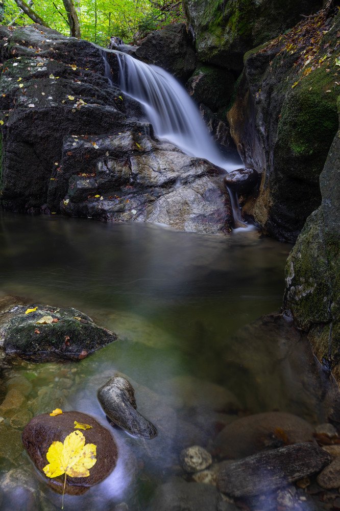 The colors of Autumn