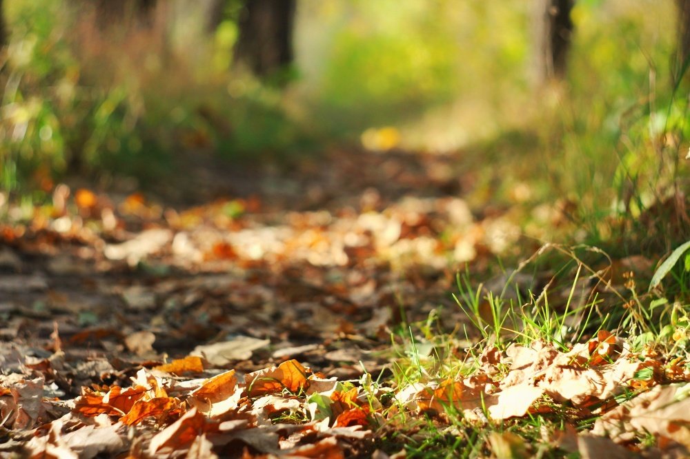 Photograph by Сергей Золотоверхий