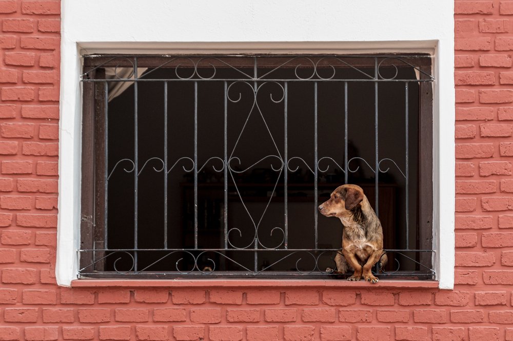 Photograph by CAROLINA INES FRANCO