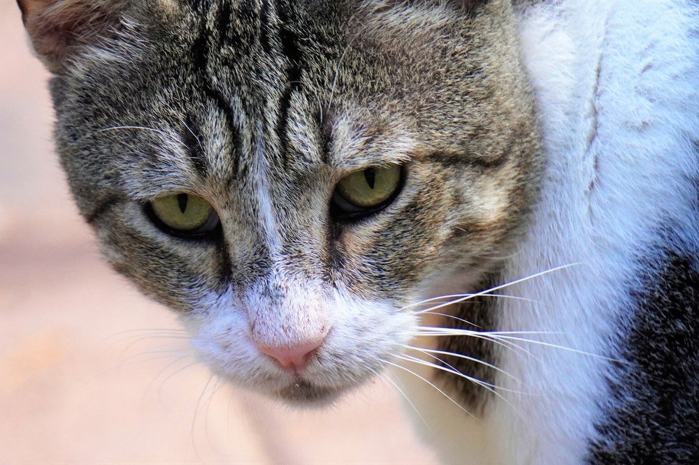 I am coming to you..