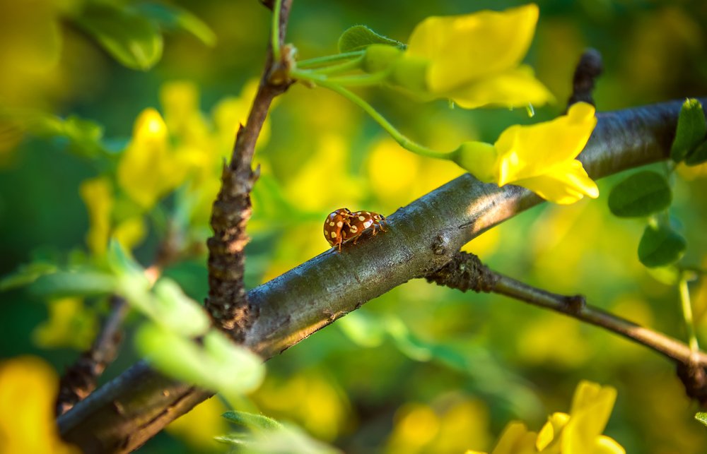 Photograph by Ильдар Шангараев