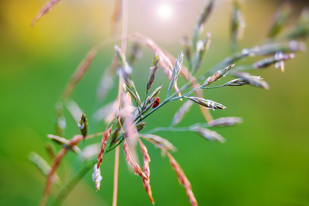 Photograph by Ильдар Шангараев