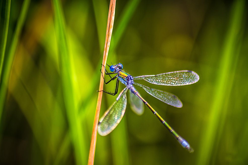 Photograph by Ильдар Шангараев