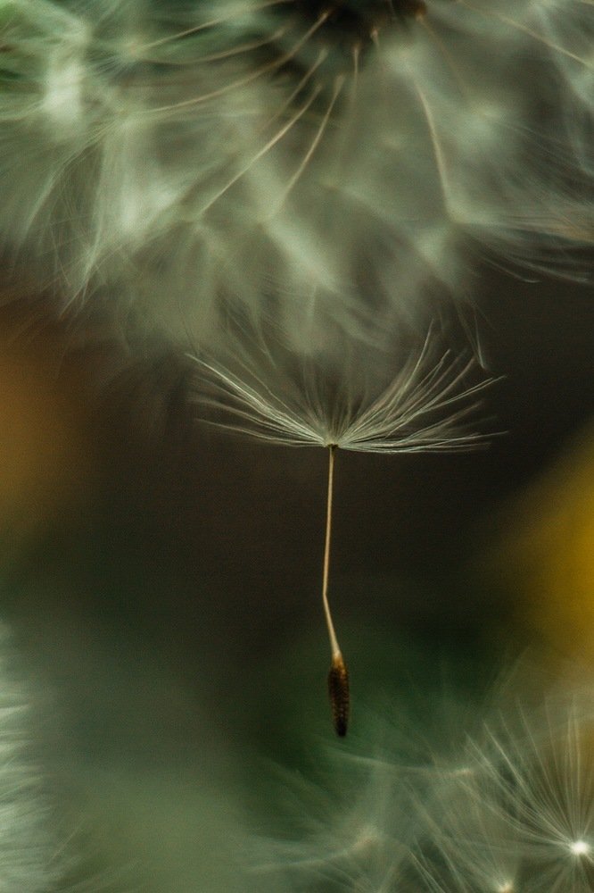 Photograph by Алена