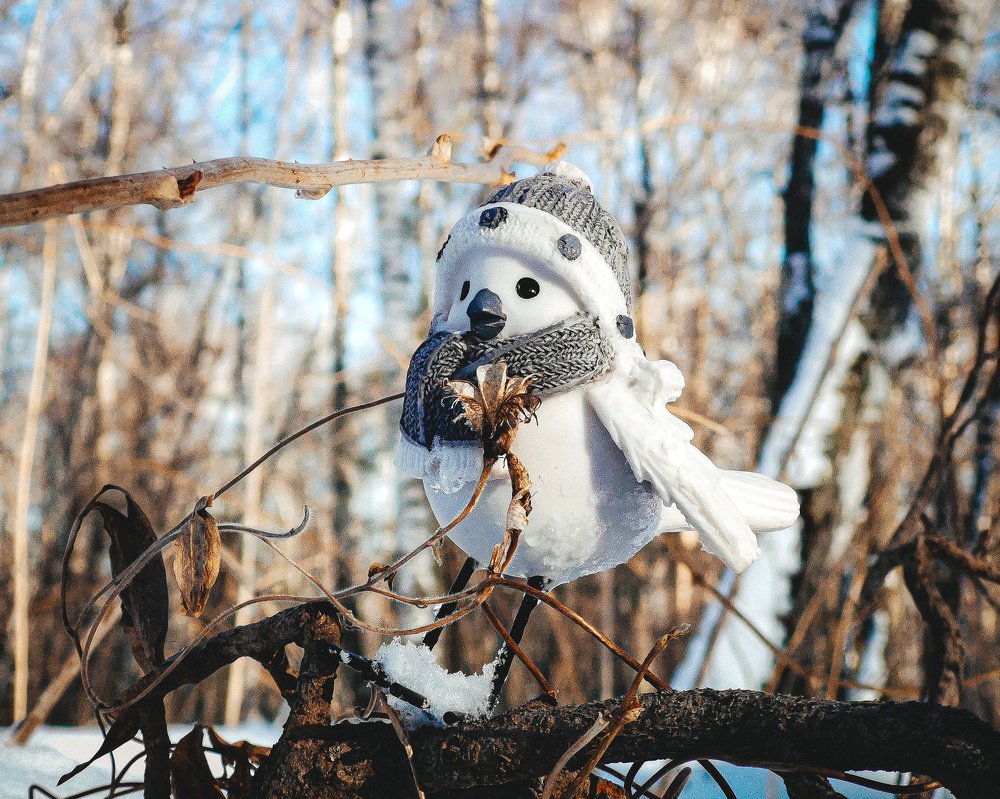 Photograph by Дмитрий Фёдоров