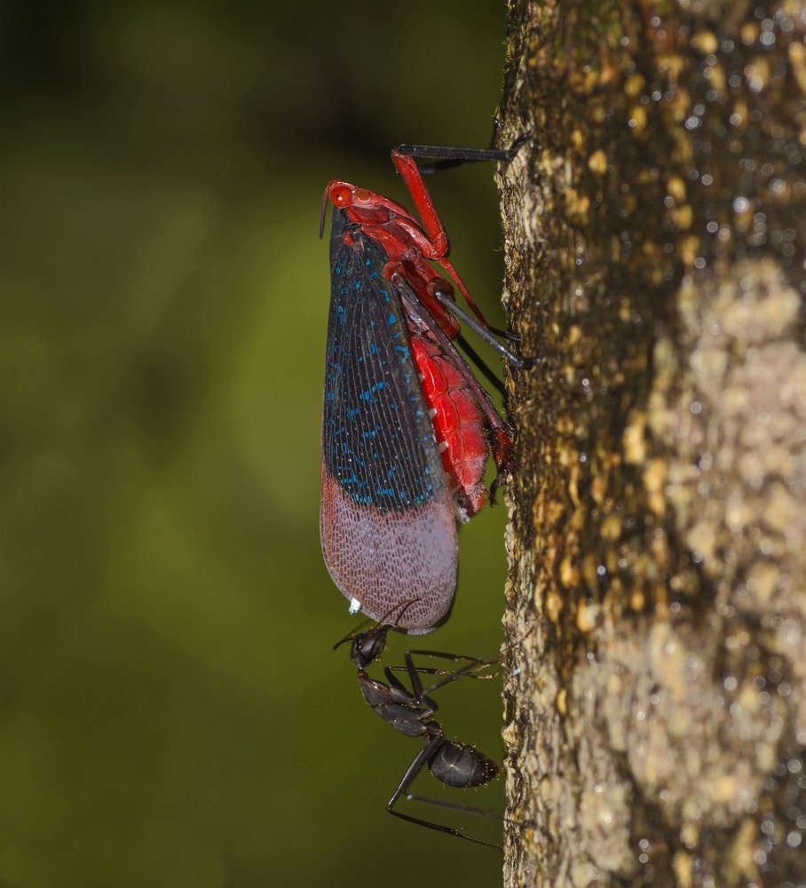 Photograph by Nishant Vyas