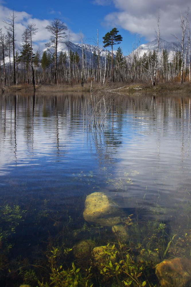 Photograph by Алексей Трофимов