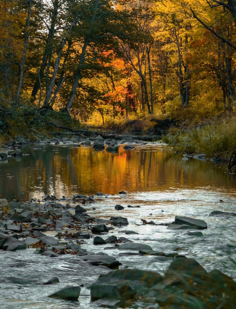 Photograph by Олег Волков