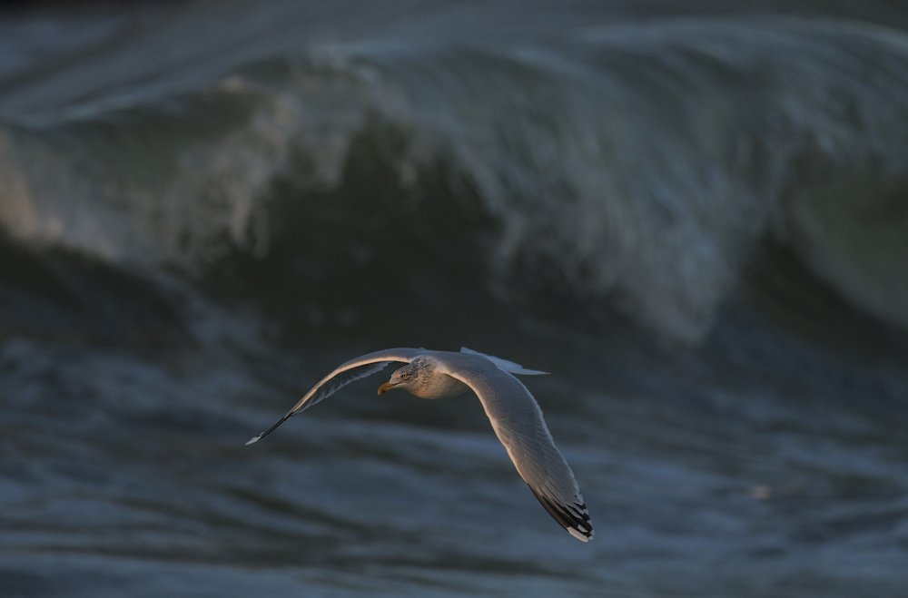 Photograph by Ernestas Balcikonis