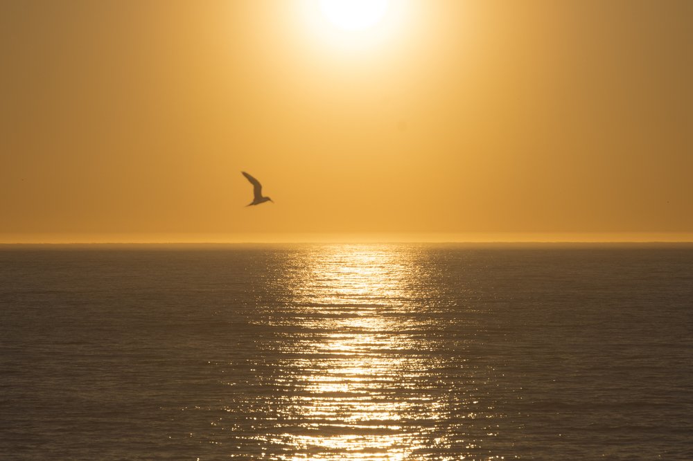 Photograph by Ernestas Balcikonis