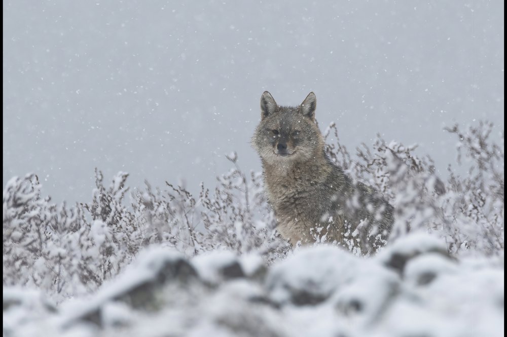 Photograph by Ernestas Balcikonis