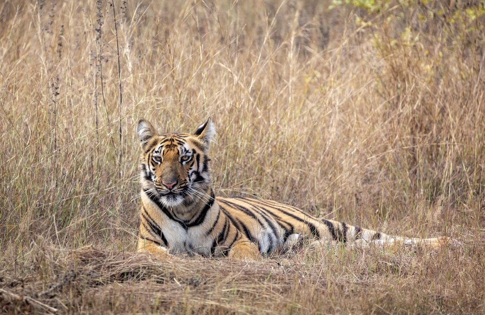 Photograph by USAIDUDDIN QUAZI