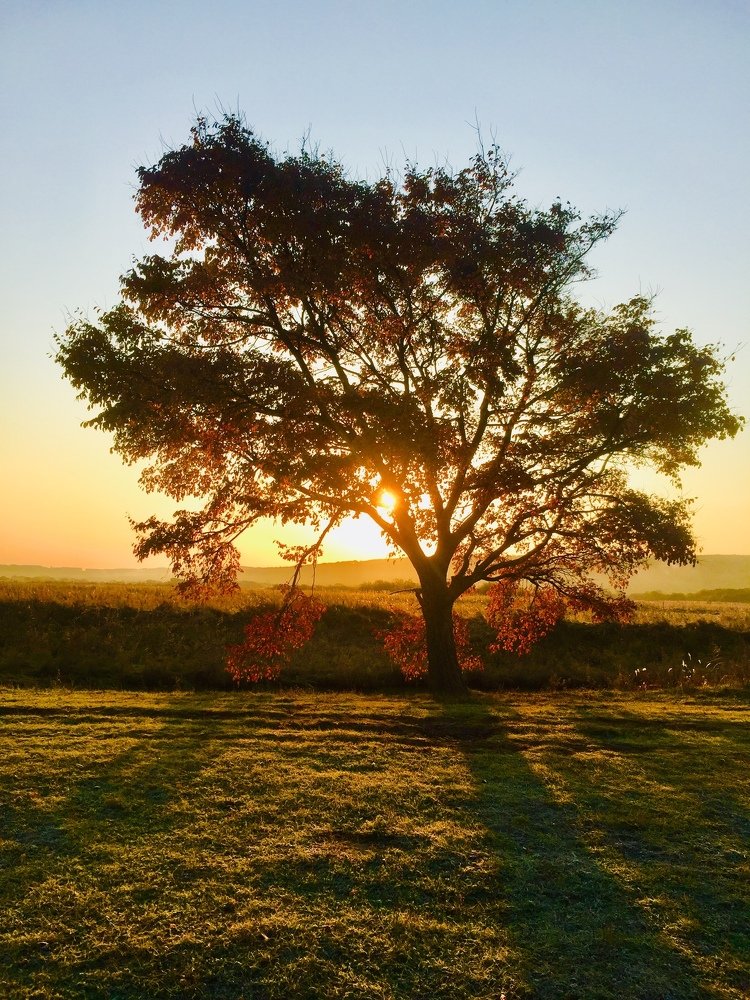 Photograph by Олег Волков