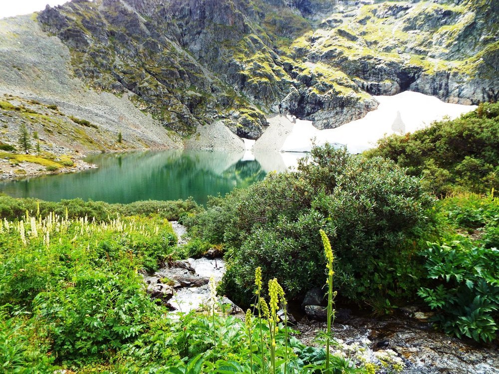 Горное Очарование