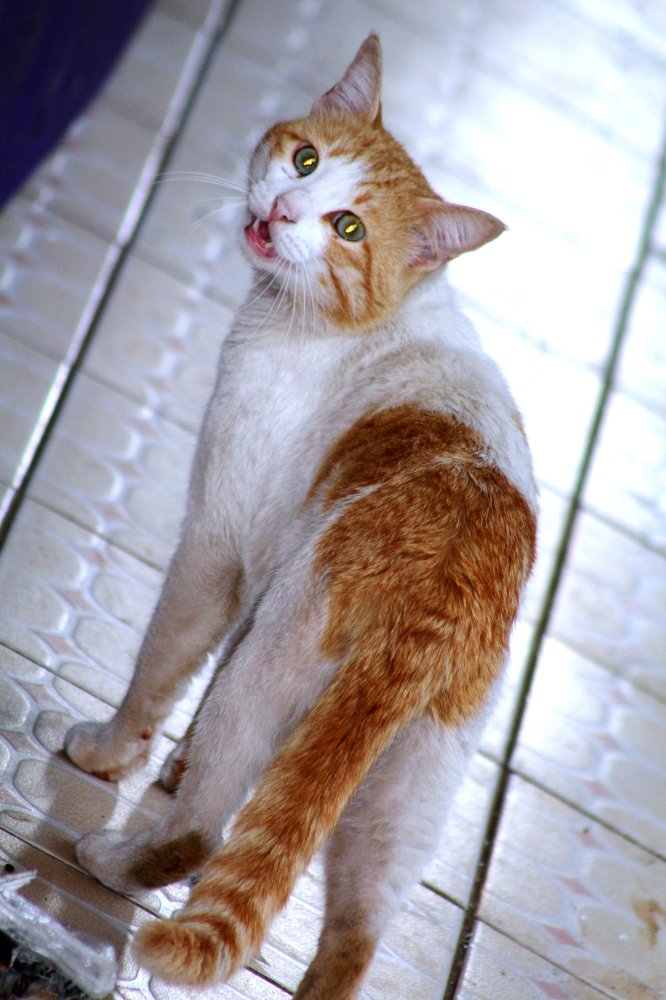 Photograph by Mackton Kipsang