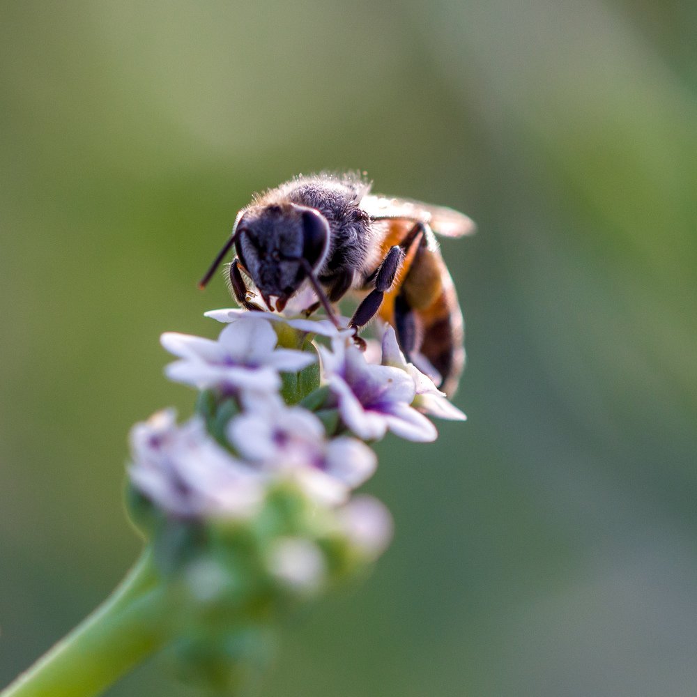 Photograph by Safdar Bin abbas