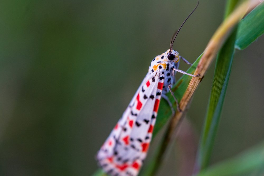 Photograph by Safdar Bin abbas