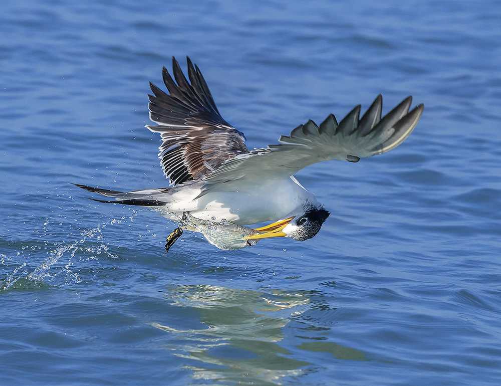 Photograph by Mehdi Dorostkar