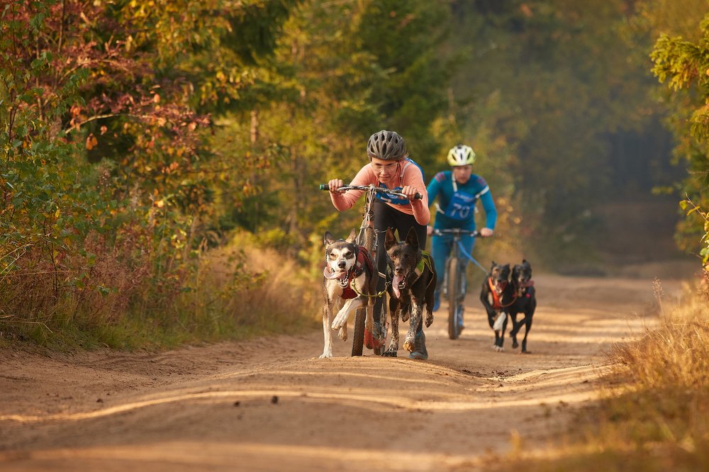 Photograph by Лана Полякова