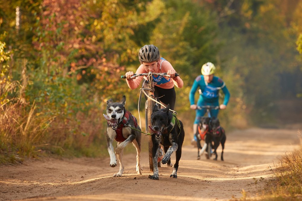 Photograph by Лана Полякова